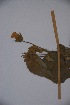  ( - K-0340)  @11 [ ] No Rights Reserved  Unspecified Unspecified