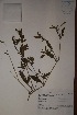  ( - K-0346)  @11 [ ] No Rights Reserved  Unspecified Unspecified