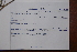  (Asystasia schimperi - K-0346)  @11 [ ] No Rights Reserved  Unspecified Unspecified