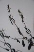  ( - K-0482)  @11 [ ] No Rights Reserved  Unspecified Unspecified