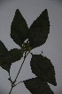  ( - K-0512)  @11 [ ] No Rights Reserved  Unspecified Unspecified