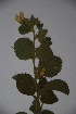  ( - K-0563)  @11 [ ] No Rights Reserved  Unspecified Unspecified