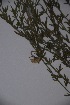  ( - K-0579)  @11 [ ] No Rights Reserved  Unspecified Unspecified