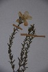  ( - K-0579)  @11 [ ] No Rights Reserved  Unspecified Unspecified