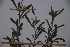  ( - K-0631)  @11 [ ] No Rights Reserved  Unspecified Unspecified
