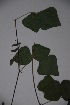  ( - K-0654)  @11 [ ] No Rights Reserved  Unspecified Unspecified