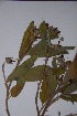  ( - K-0674.2)  @11 [ ] No Rights Reserved  Unspecified Unspecified