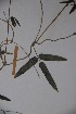  ( - K-0829)  @11 [ ] No Rights Reserved  Unspecified Unspecified