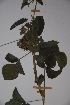  ( - K-0836)  @11 [ ] No Rights Reserved  Unspecified Unspecified