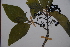  ( - K-0858)  @11 [ ] No Rights Reserved  Unspecified Unspecified