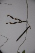  ( - K-0889a)  @11 [ ] No Rights Reserved  Unspecified Unspecified