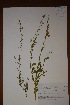  ( - K-0893)  @11 [ ] No Rights Reserved  Unspecified Unspecified