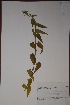  ( - K-0898)  @11 [ ] No Rights Reserved  Unspecified Unspecified