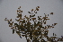  ( - K-0913)  @11 [ ] No Rights Reserved  Unspecified Unspecified