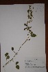  ( - K-0920)  @11 [ ] No Rights Reserved  Unspecified Unspecified