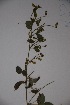  ( - K-0920)  @11 [ ] No Rights Reserved  Unspecified Unspecified