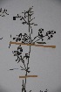  ( - K-1083)  @11 [ ] No Rights Reserved  Unspecified Unspecified