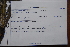  ( - K-1103)  @11 [ ] No Rights Reserved  Unspecified Unspecified