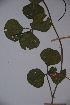 ( - K-1185)  @11 [ ] No Rights Reserved  Unspecified Unspecified