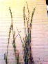  ( - KK-0047)  @11 [ ] No Rights Reserved  Unspecified Unspecified