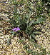  ( - KMS-0004)  @11 [ ] No Rights Reserved  Unspecified Unspecified