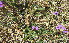  ( - KMS-0004)  @11 [ ] No Rights Reserved  Unspecified Unspecified