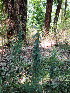  ( - KMS-0027)  @11 [ ] No Rights Reserved  Unspecified Unspecified