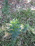  ( - KMS-0027)  @11 [ ] No Rights Reserved  Unspecified Unspecified