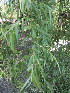  ( - KMS-0028)  @11 [ ] No Rights Reserved  Unspecified Unspecified