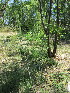  ( - KMS-0030)  @11 [ ] No Rights Reserved  Unspecified Unspecified