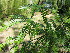  ( - KMS-0030)  @11 [ ] No Rights Reserved  Unspecified Unspecified
