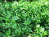  ( - KMS-0032)  @11 [ ] No Rights Reserved  Unspecified Unspecified