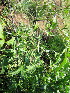  ( - KMS-0046)  @11 [ ] No Rights Reserved  Unspecified Unspecified