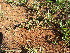  ( - KMS-0053)  @11 [ ] No Rights Reserved  Unspecified Unspecified