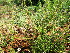  ( - KMS-0054)  @11 [ ] No Rights Reserved  Unspecified Unspecified