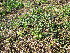  ( - KMS-0060)  @11 [ ] No Rights Reserved  Unspecified Unspecified