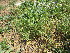 ( - KMS-0071)  @11 [ ] No Rights Reserved  Unspecified Unspecified
