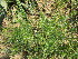  ( - KMS-0071)  @11 [ ] No Rights Reserved  Unspecified Unspecified
