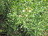  ( - KMS-0089)  @11 [ ] No Rights Reserved  Unspecified Unspecified