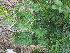  ( - KMS-0093)  @11 [ ] No Rights Reserved  Unspecified Unspecified