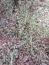  ( - KMS-0094)  @11 [ ] No Rights Reserved  Unspecified Unspecified