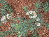  ( - KMS-0101)  @11 [ ] No Rights Reserved  Unspecified Unspecified