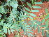  ( - KMS-0103)  @11 [ ] No Rights Reserved  Unspecified Unspecified