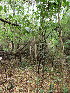  ( - KMS-0109)  @11 [ ] No Rights Reserved  Unspecified Unspecified