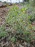  ( - KMS-0122)  @11 [ ] No Rights Reserved  Unspecified Unspecified