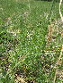  ( - KMS-0126)  @11 [ ] No Rights Reserved  Unspecified Unspecified