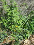 ( - KMS-0128)  @11 [ ] No Rights Reserved  Unspecified Unspecified