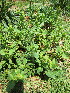  ( - KMS-0129)  @11 [ ] No Rights Reserved  Unspecified Unspecified