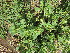  ( - KMS-0129)  @11 [ ] No Rights Reserved  Unspecified Unspecified