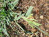  ( - KMS-0131)  @11 [ ] No Rights Reserved  Unspecified Unspecified